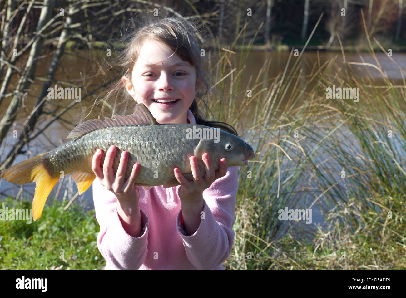 Bambino la pesca sui parchi della città lago vicino a Paignton Devon le catture a tre e mezza libbra di carpa Cyprinus carpio Foto Stock