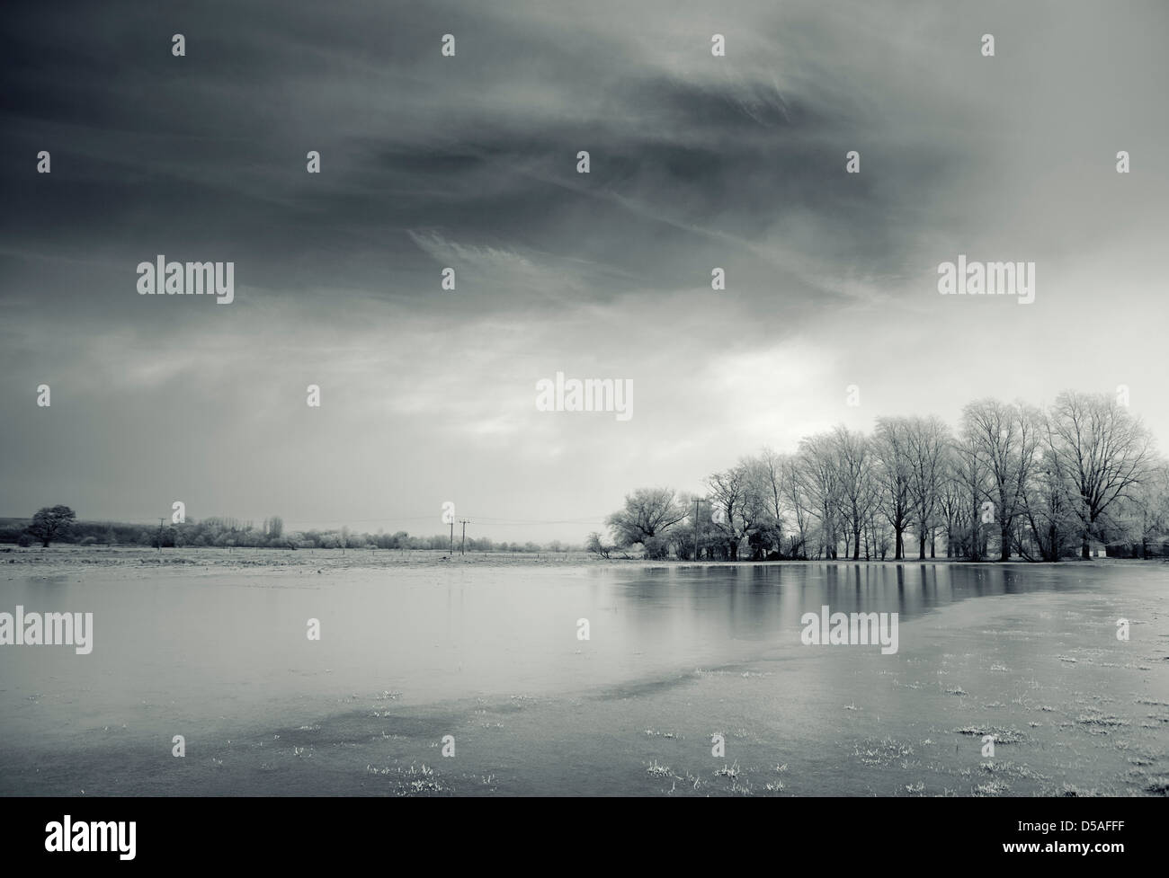 Frosty Norfolk paesaggio Foto Stock