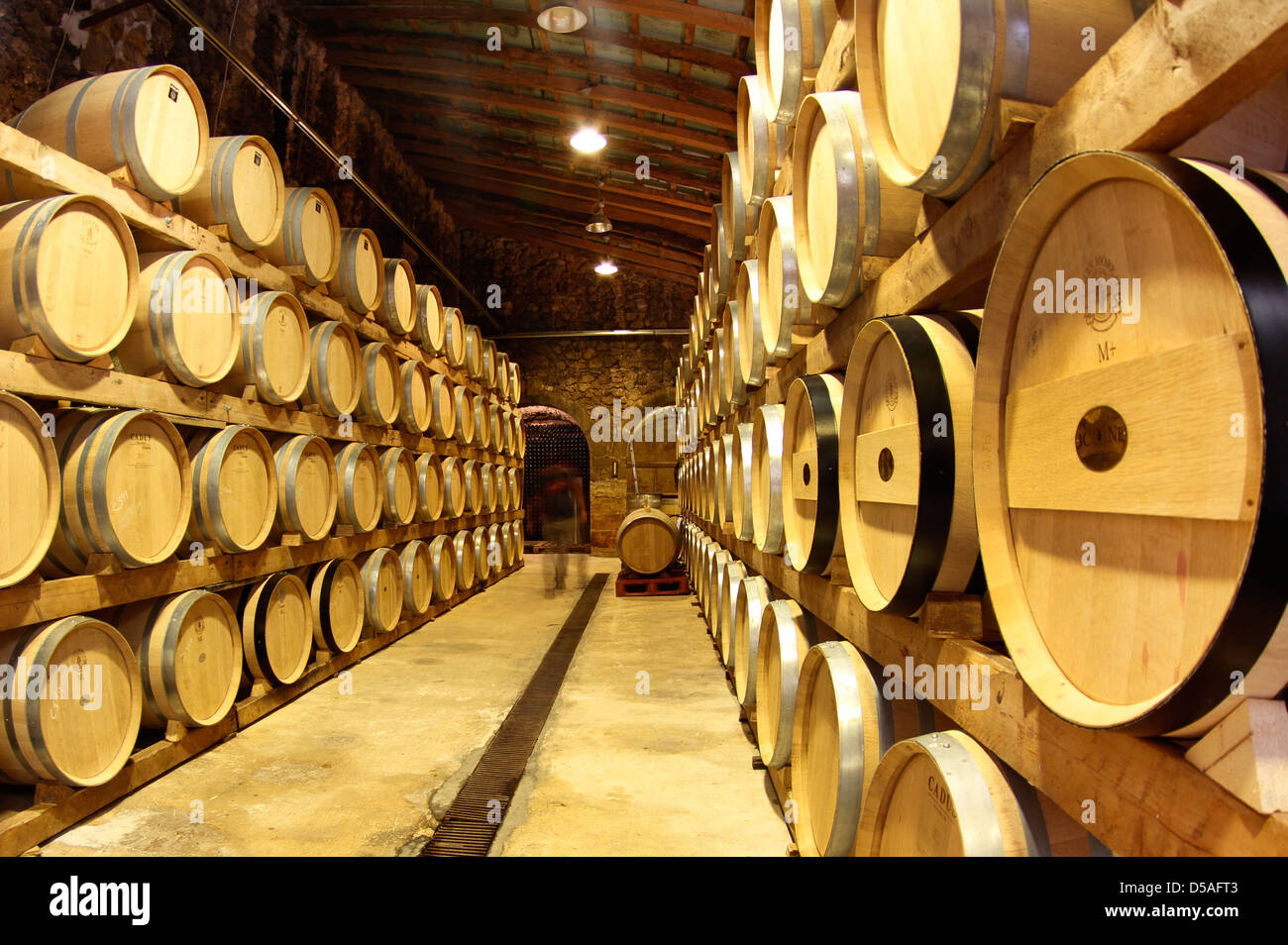 Botti da vino sono impilati su una cantina in un vigneto nell'isola di Mallorca Foto Stock