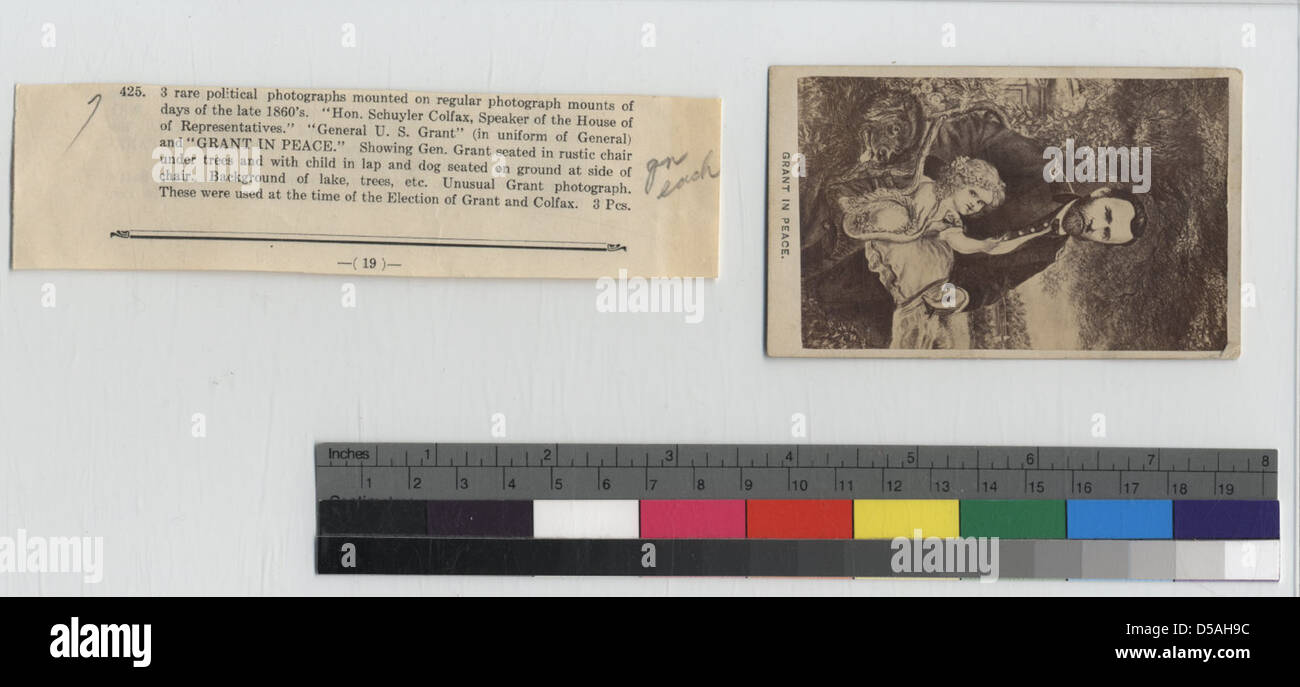 Questo cartes-de-visite dell'era della guerra civile raffigura Ulysses S. Grant, il generale dell'Unione, con la sua famiglia in un ambiente tranquillo. L'immagine riflette l'era del dopoguerra, mostrando il generale in un ambiente tranquillo e familiare. Foto Stock