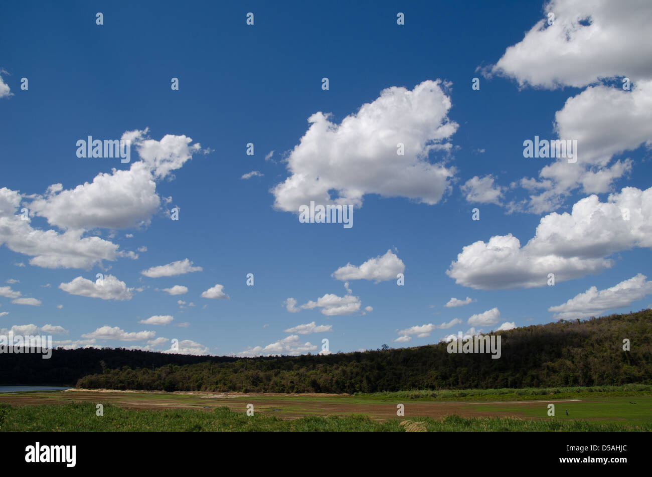 Vista orizzontale del verde dei prati con la foresta e azzurro cielo punteggiato di bianco puffy nubi in Madagascar, Africa Foto Stock