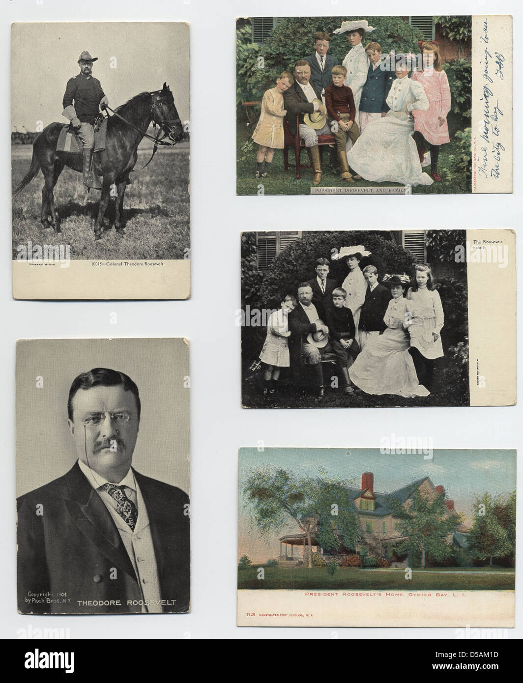 Theodore Roosevelt Cartoline Foto Stock