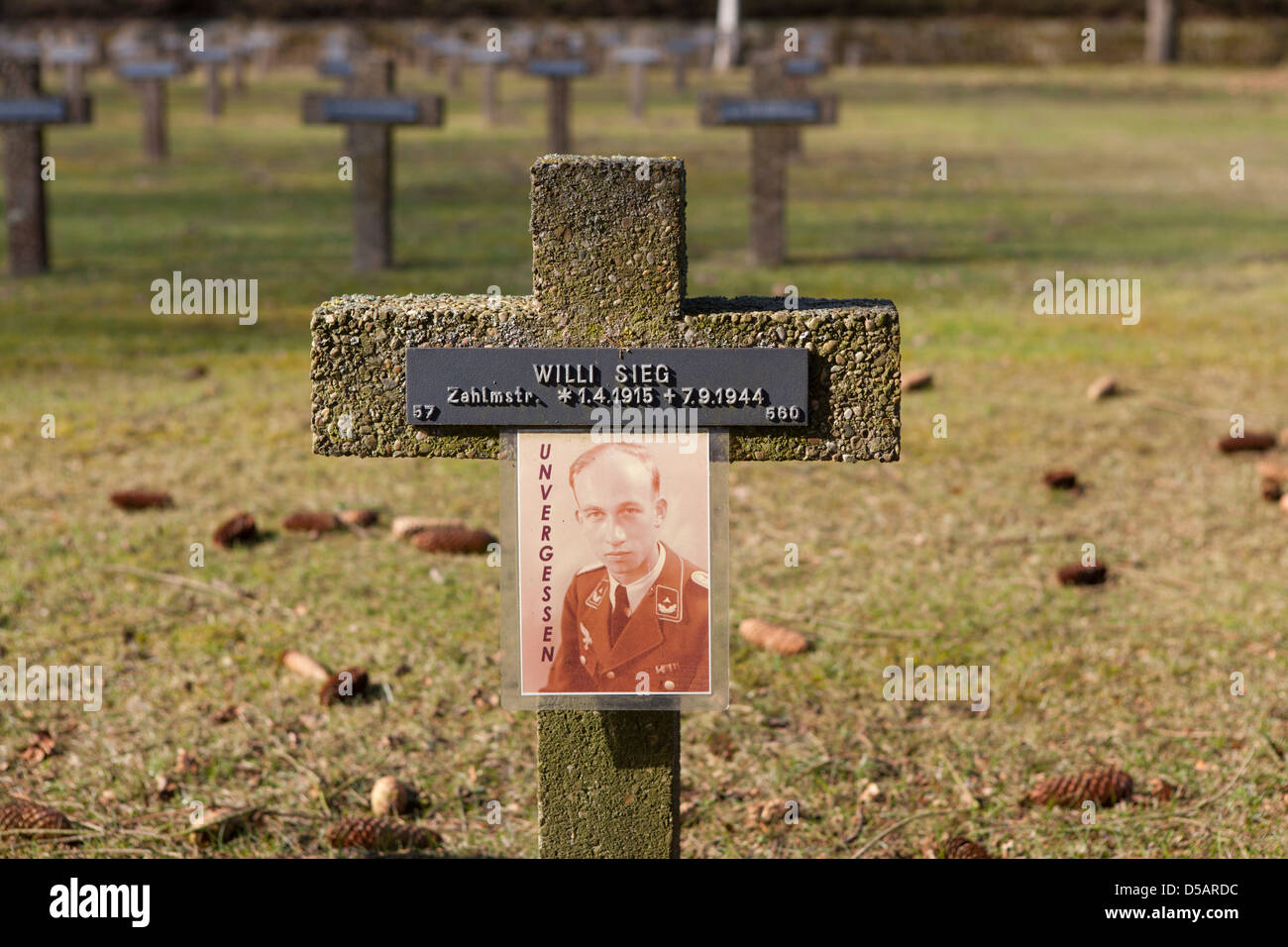 In prossimità di una tomba con il ritratto di un funzionario presso il Cimitero di Guerra Tedesco al Kattenbos Lommel in Belgio Foto Stock