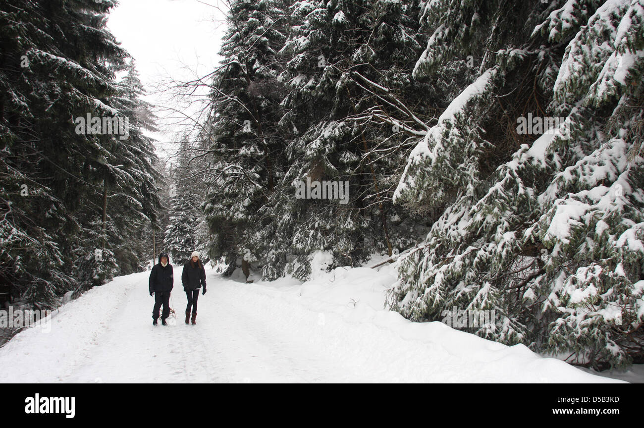 Durch eine winterliche Landschaft im Nationalpark Harz bei Schierke laufen am Samstag (02.01.2010) zwei Wanderer. Tausende Touristen halten sich derzeit bei Schneehöhen bis zu 60 Zentimetern im Oberharz auf. Foto: Jens Wolf dpa/L /lah Foto Stock