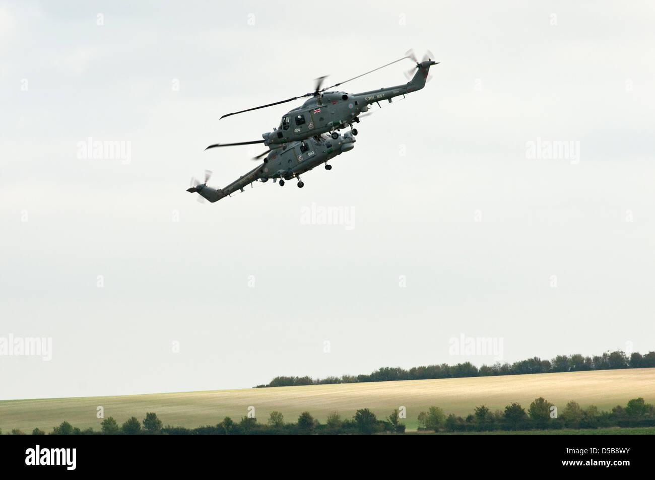 Due Royal Navy elicotteri militari eseguendo acrobazie aeree con un air show NEL REGNO UNITO. Foto Stock