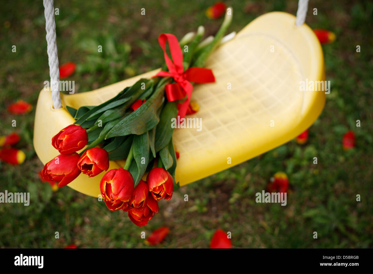 Un bouquet di tulipani rossi su sfondo giallo swing con fuori fuoco petali come sfondo. Foto Stock