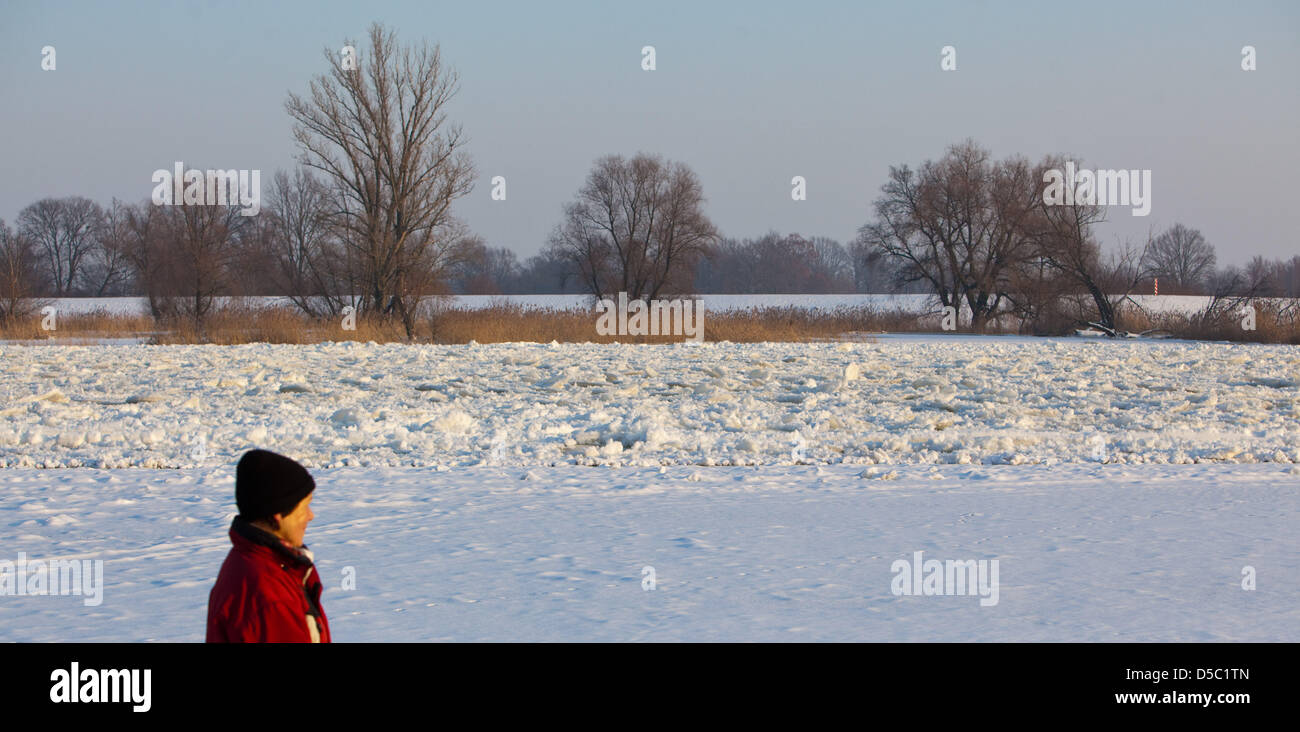 Una donna cammina vicino congelata di rive del fiume Oder, quasi completamente coperto da fogli di forma circolare del ghiaccio drfiting vicino a Lebus, Germania, 25 gennaio 2010. Nel frattempo le lastre di ghiaccio che ricopre il fiume per raggiungere la laguna di Stettino per quanto riguarda la città di Eisenhuettenstadt. Foto: PATRICK PLEUL Foto Stock