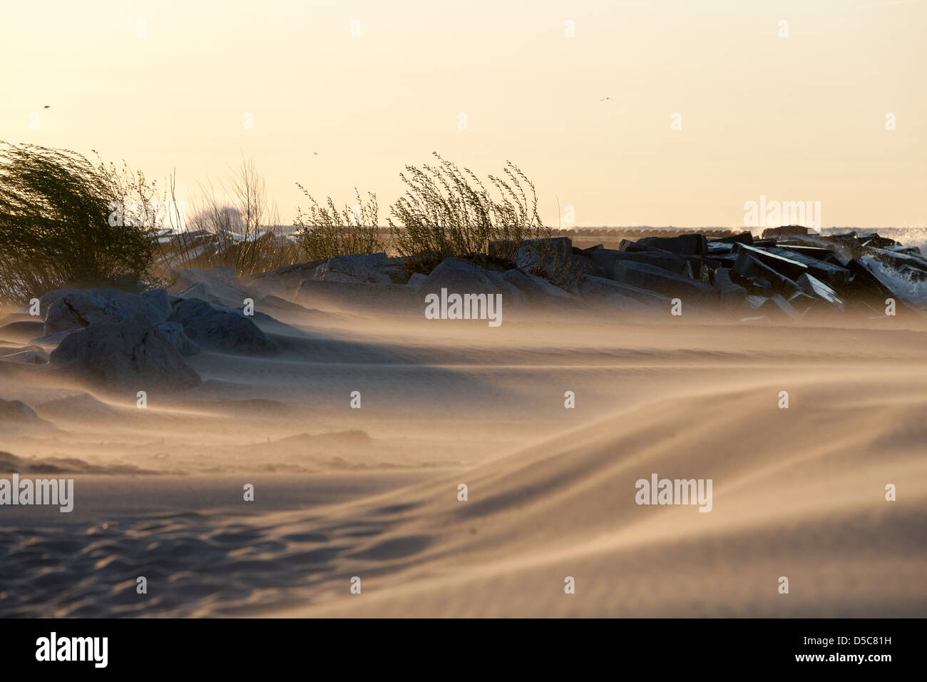 La sabbia al vento, al tramonto sul lago Michigan, Nuova Buffalo Beach, Stati Uniti d'America Foto Stock
