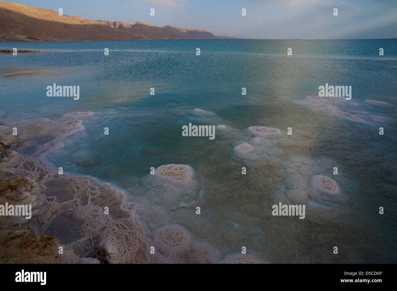 Mar Morto a Riva nella luce del mattino Foto Stock