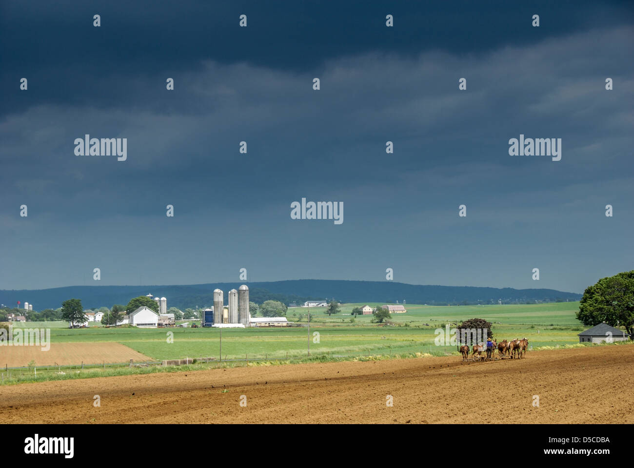 Un agricoltore Amish ara il suo campo sotto un cielo di oscuramento in Lancaster County, Pennsylvania, USA. Foto Stock