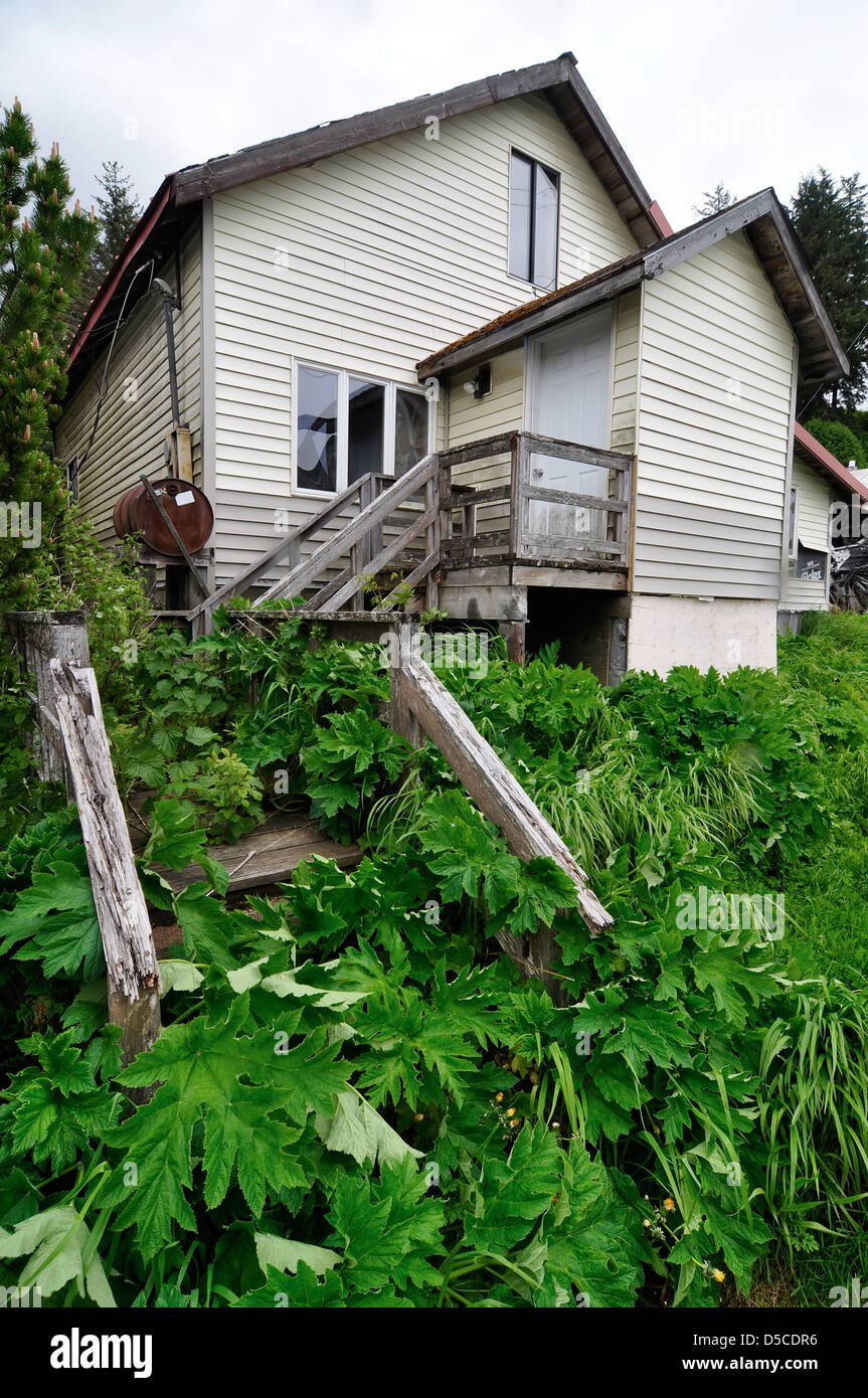 Scala ricoperta di fronte a casa in Kake, Alaska. Foto Stock