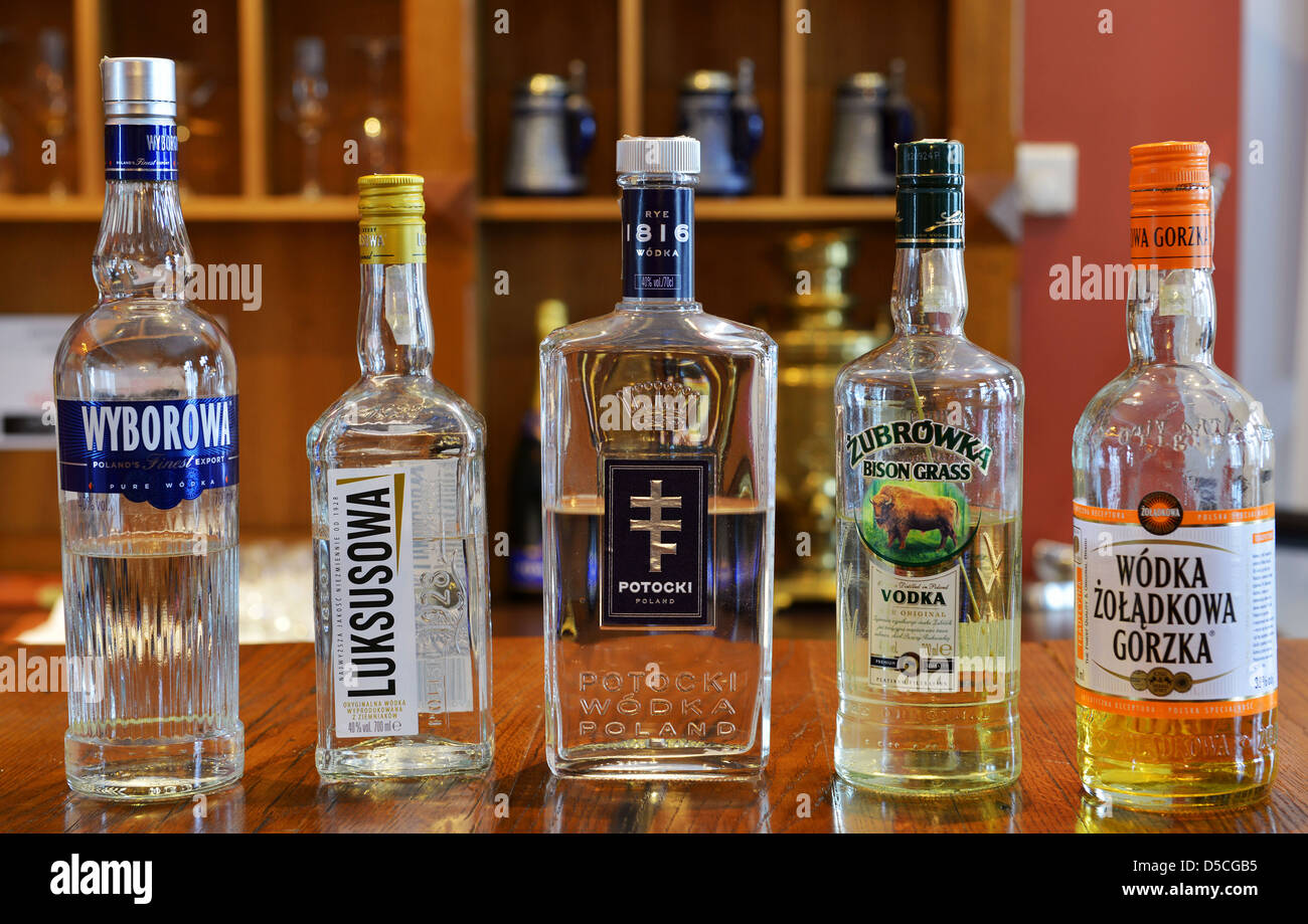 La vodka degustazione presso Sierakow Manor Hotel vicino, Cracovia in  Polonia Foto stock - Alamy