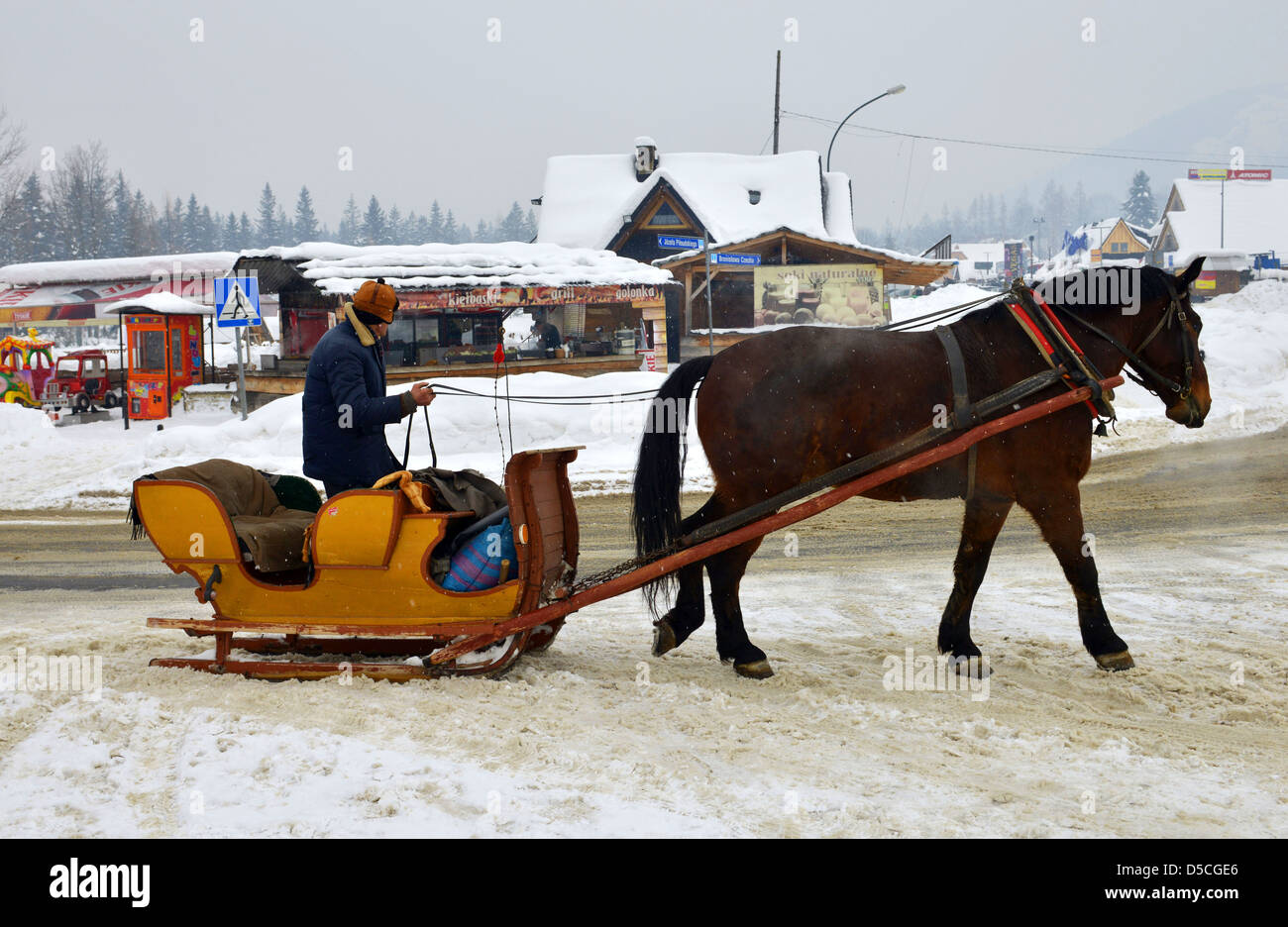 Slitta trainata da cavalli, Zakopane, Polonia Foto Stock