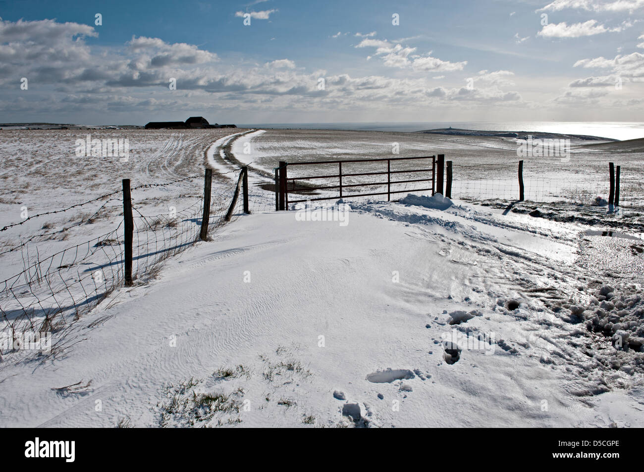 La neve sulla Sussex, Regno Unito Foto Stock