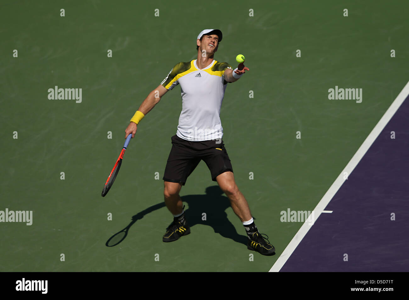 Miami, FL - Andy Murray della Gran Bretagna in azione durante il giorno 11 del Sony Open 2013. Foto Stock