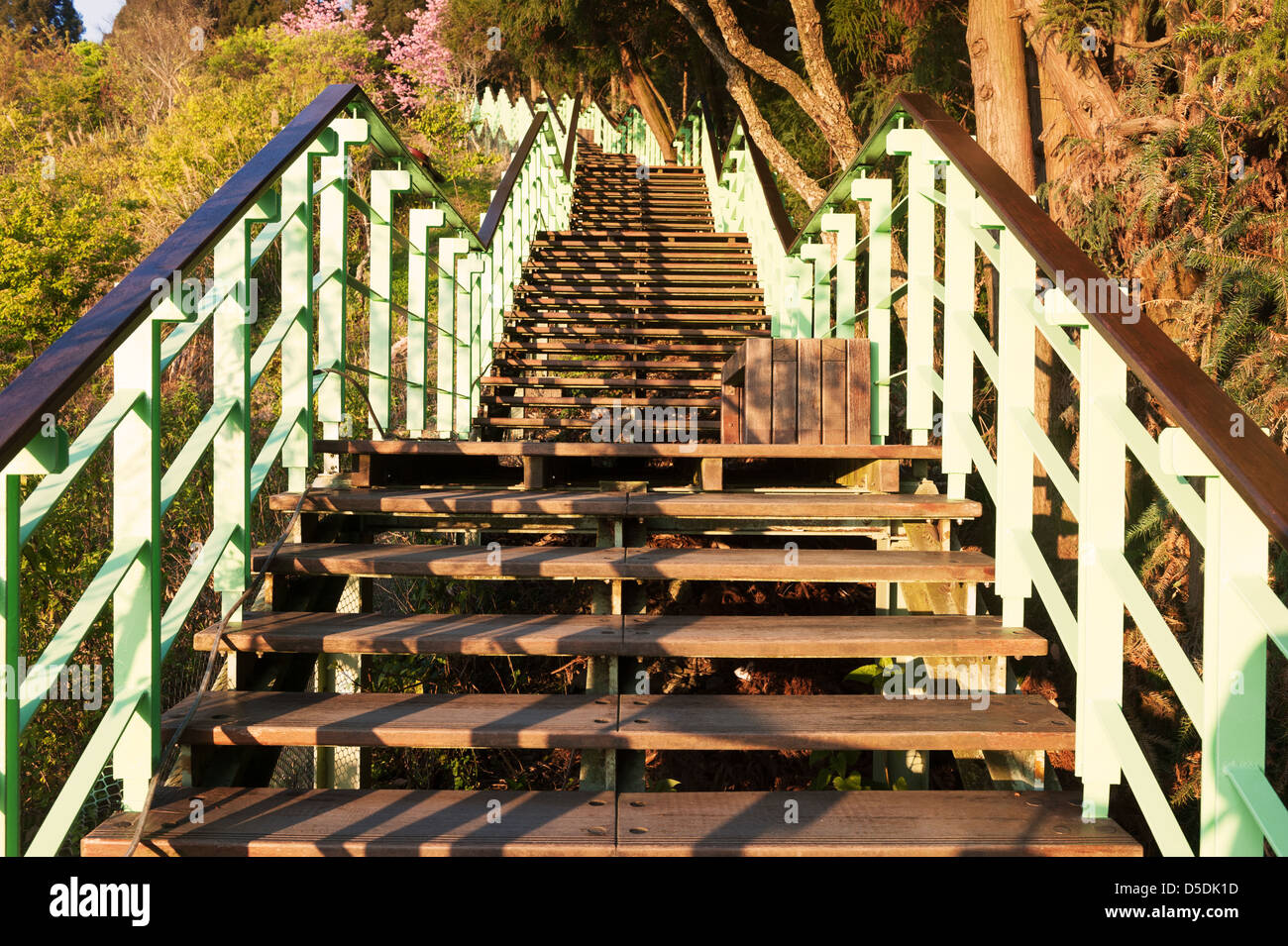 Scale di legno del parco nella luce solare Foto Stock
