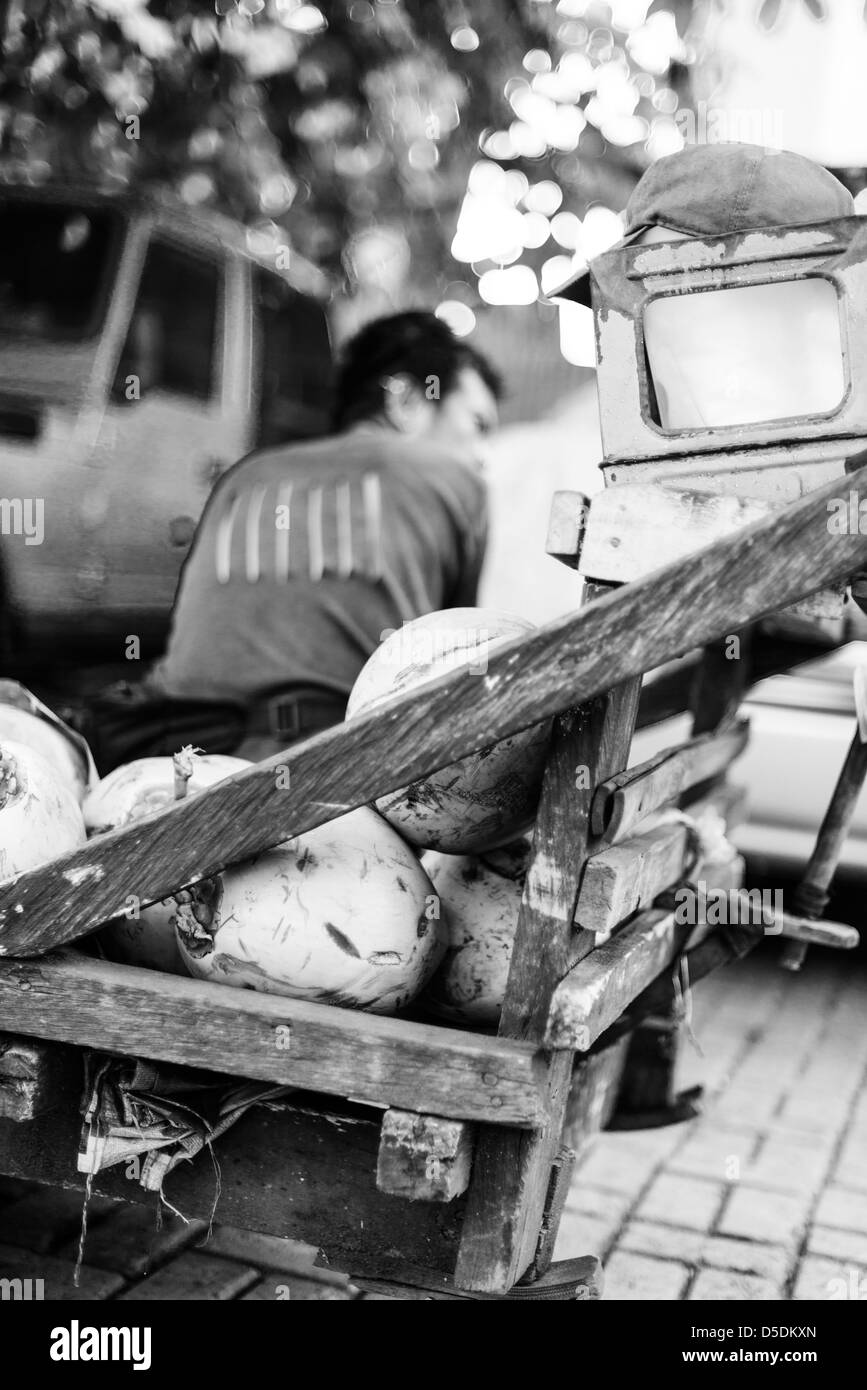 Vecchio carrello di legno con noci di cocco con un uomo seduto su di esso Foto Stock