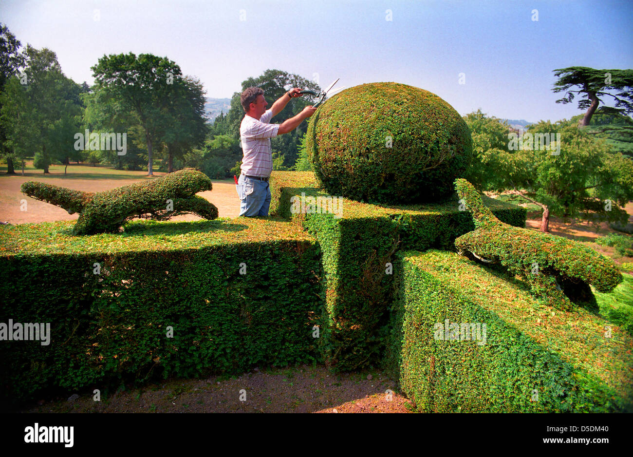Un giardiniere triming siepi. Foto Stock
