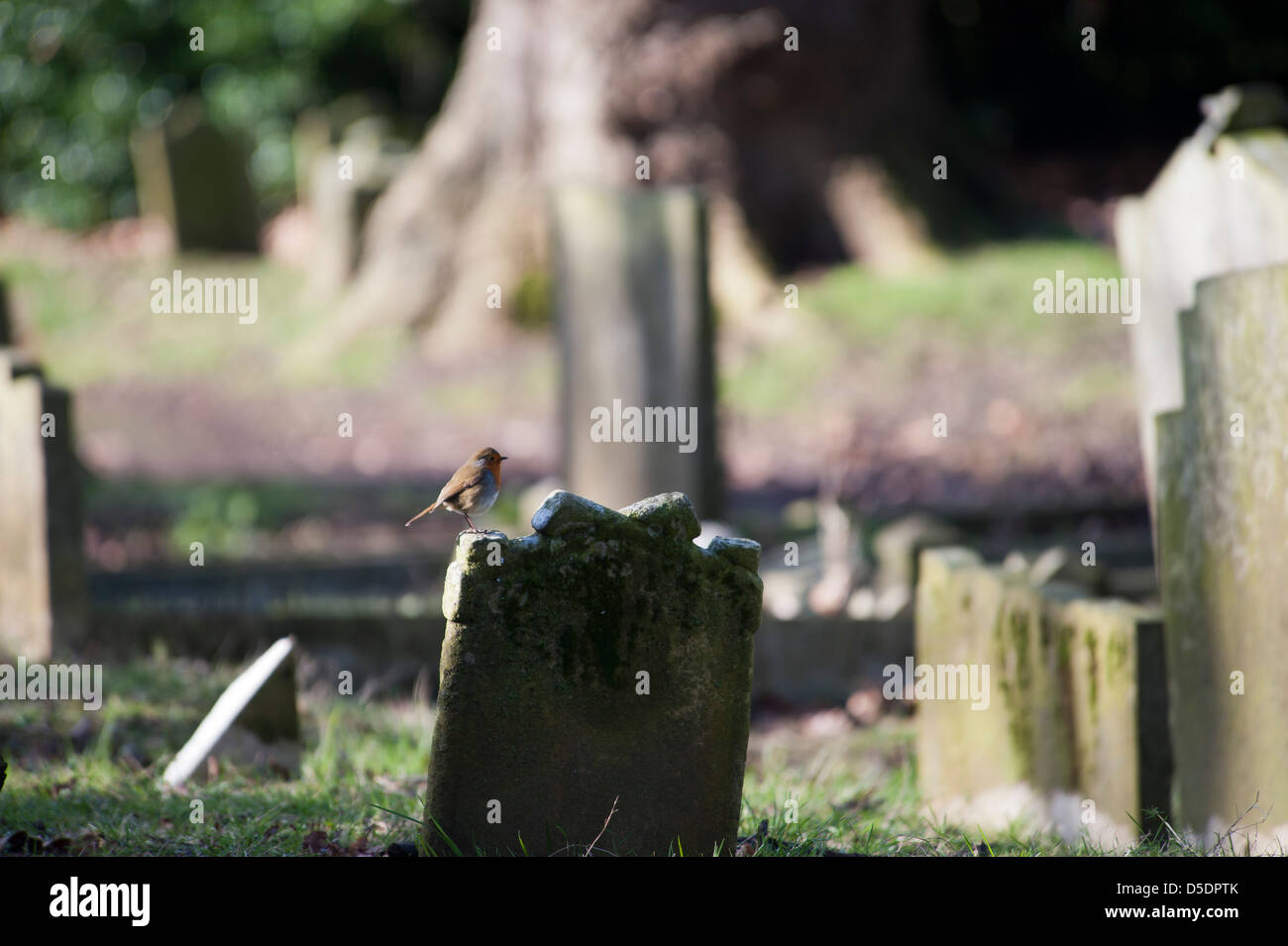 Cimitero di Paddington a Londra del nord Foto Stock