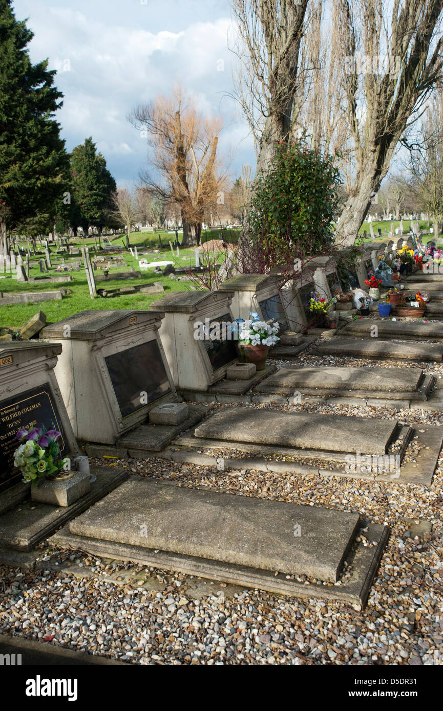 Willesden Nuovo cimitero nel nord di Londra Foto Stock