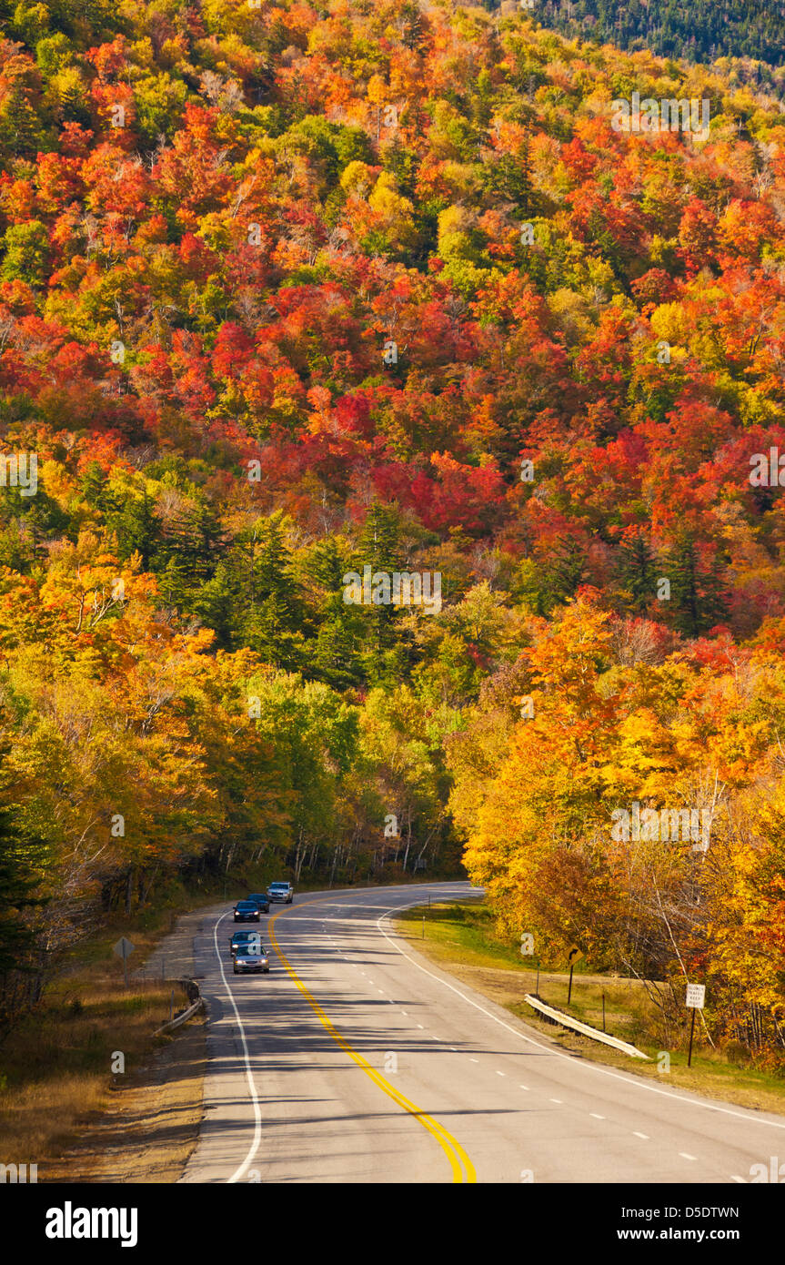 I colori autunnali percorso 16 White Mountains del New Hampshire USA Stati Uniti d'America Foto Stock