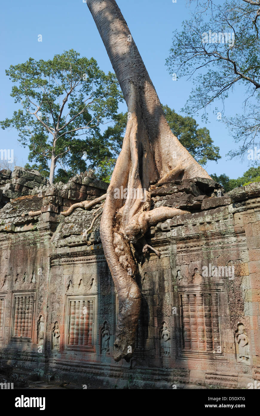 Il tempio di Preah Khan, Angkor, Siem Reap Provincia, in Cambogia. Foto Stock