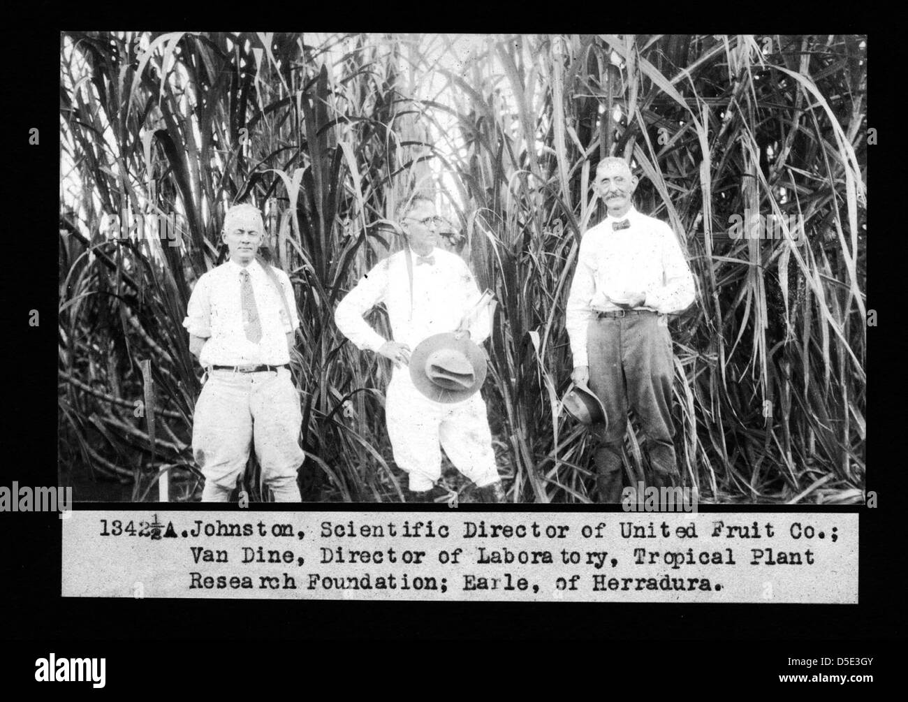 Una fotografia di gruppo scattata in un campo, parte degli archivi dello Smithsonian Institution. L'immagine probabilmente cattura una spedizione sul campo o un'attività di ricerca associata agli sforzi scientifici dell'istituzione. Foto Stock