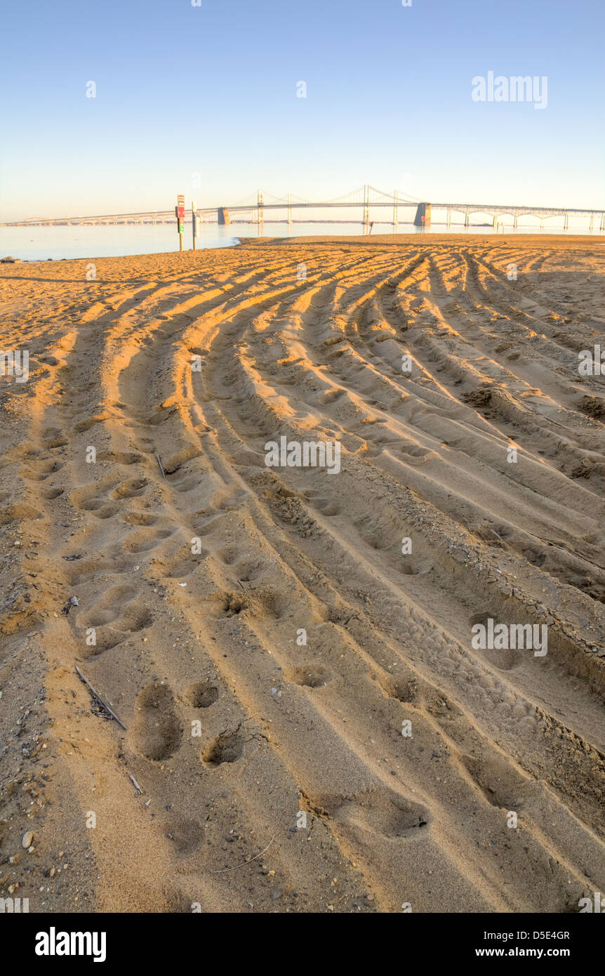 La sabbia dorata di Sandy Point State Park, con il ponte della baia in background Foto Stock