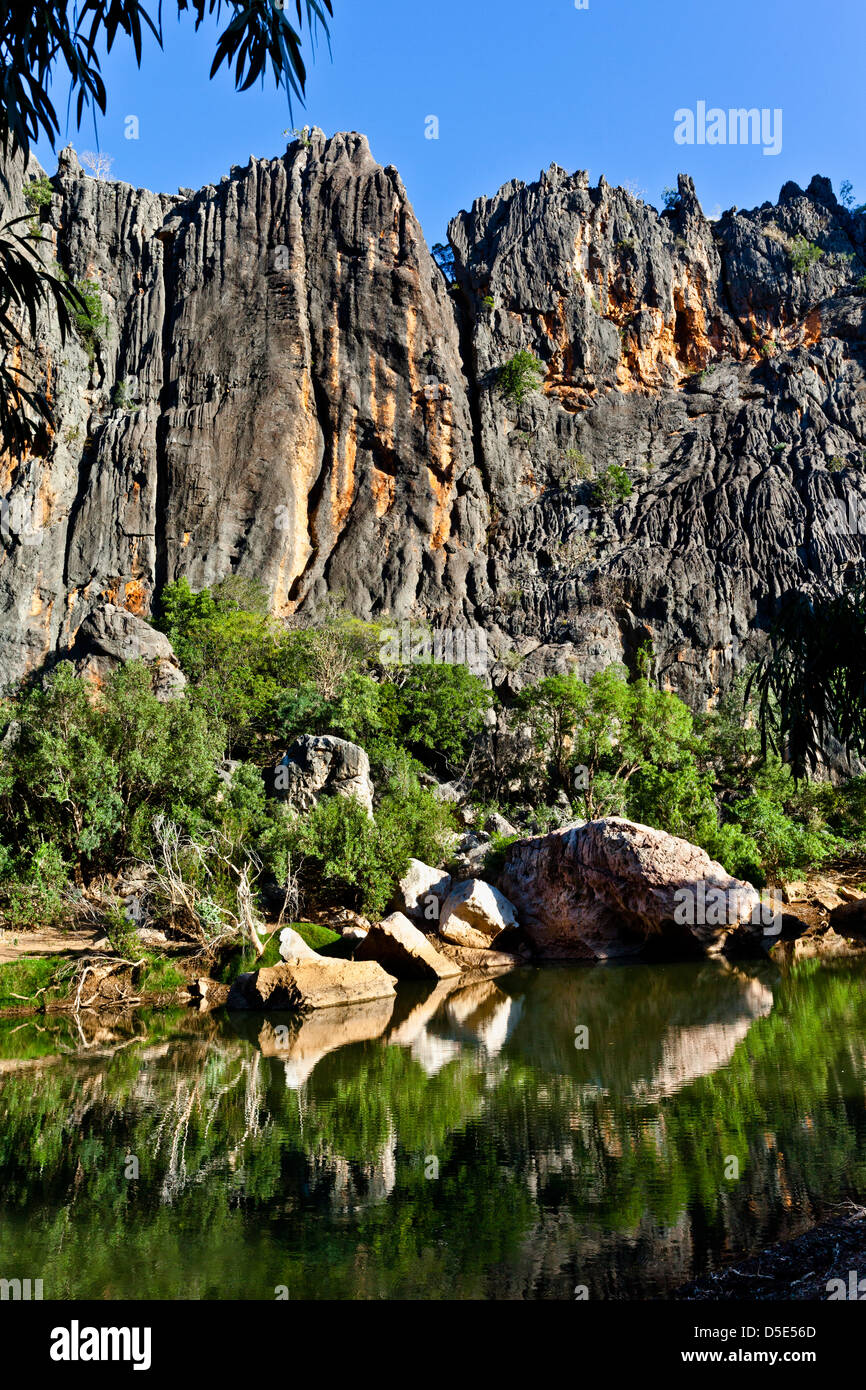 Australia, Australia occidentale, Kimberley, Windjana Gorge National Park Foto Stock