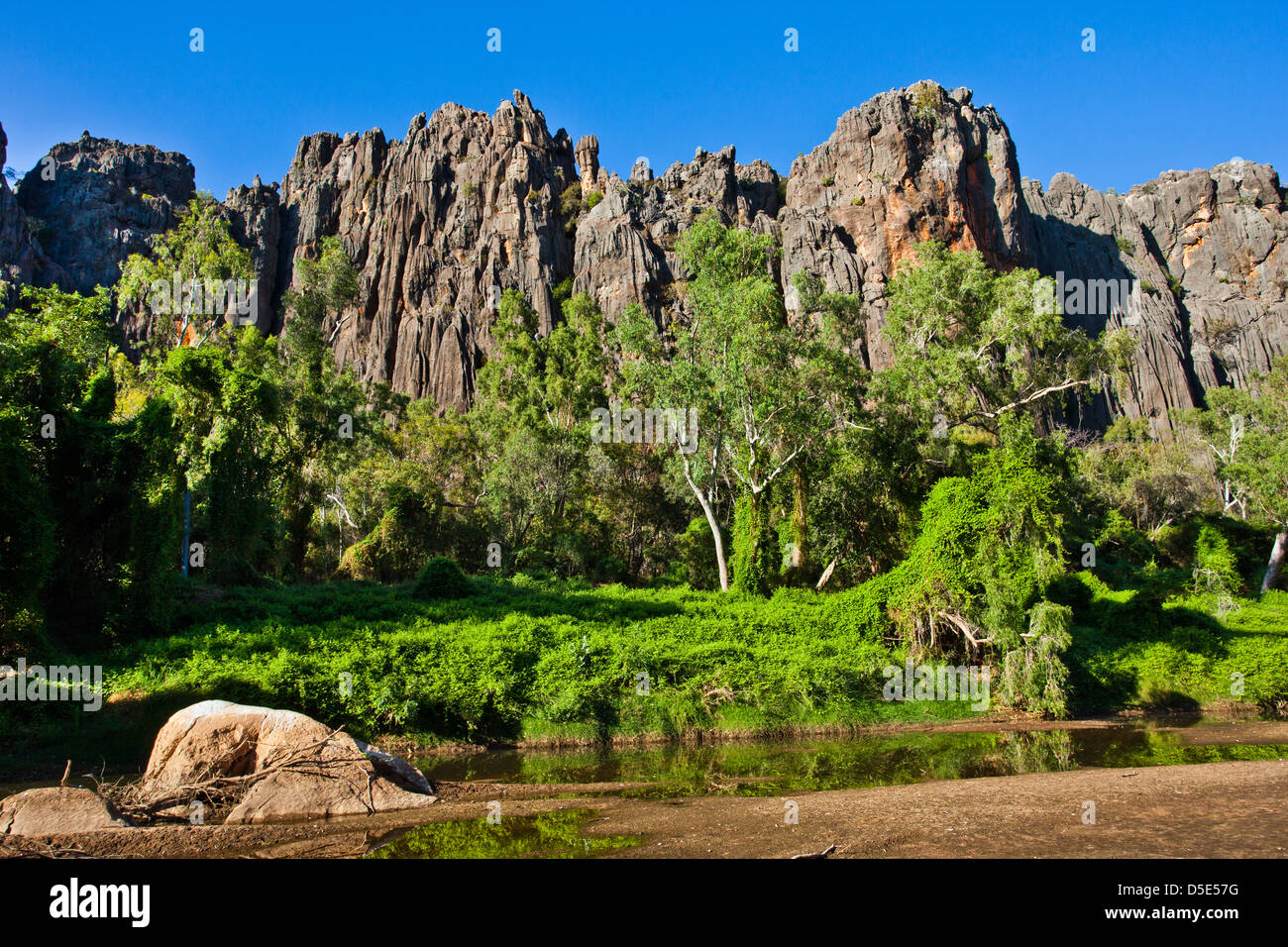 Australia, Australia occidentale, Kimberley, Windjana Gorge National Park, vista di 350 milioni di anni reef devoniano Foto Stock