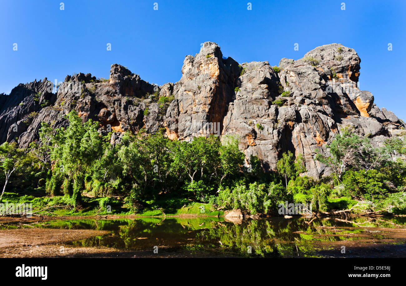Australia, Australia occidentale, Kimberley, Windjana Gorge National Park, vista di 350 milioni di anni reef devoniano Foto Stock