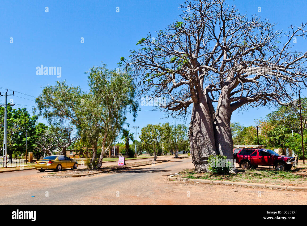 Australia, Australia occidentale, Derby, vista di boab costellata Loch Street Foto Stock