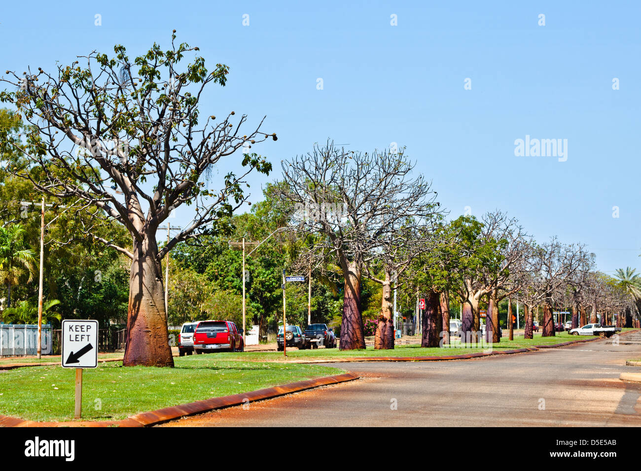 Australia, Australia occidentale, Derby, vista di boab costellata Loch Street Foto Stock