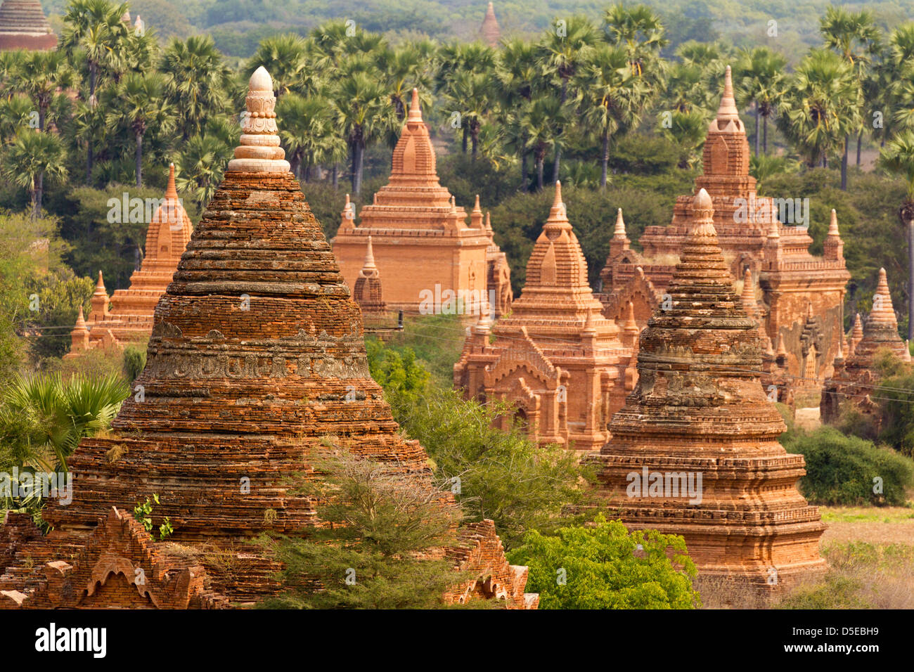 I templi e pagode di Bagan, Myanmar - la mattina presto 8 Foto Stock