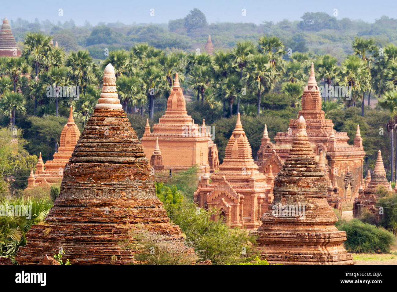 I templi e pagode di Bagan, Myanmar - la mattina presto 9 Foto Stock