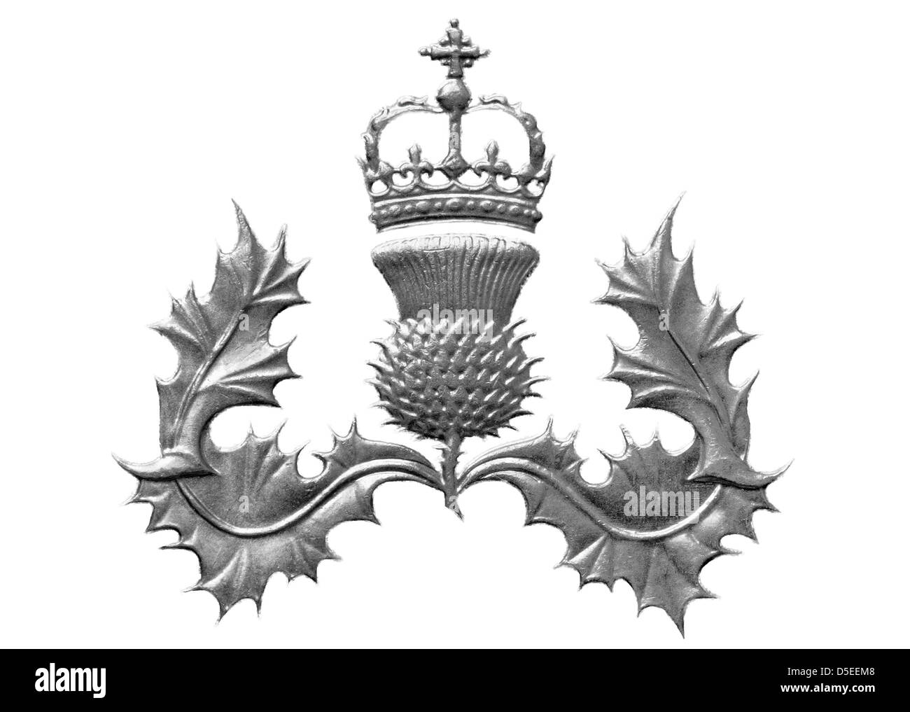 Thistle coronata da 5 nuovi pence coin, UK, 1980, su sfondo bianco Foto Stock