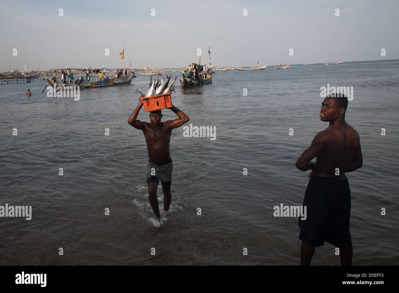 Un pescatore si porta nel tonno a riva da una barca da pesca in Accra, Ghana. Foto Stock