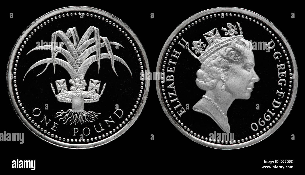 1 libbra di moneta, la Regina Elisabetta II, Gallese porro, UK, 1990 Foto Stock