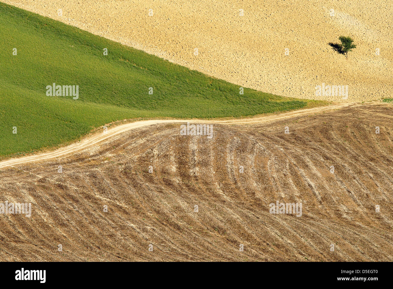 Veduta aerea sul campo dell'agricoltura in Toscana da un palloncino Foto Stock