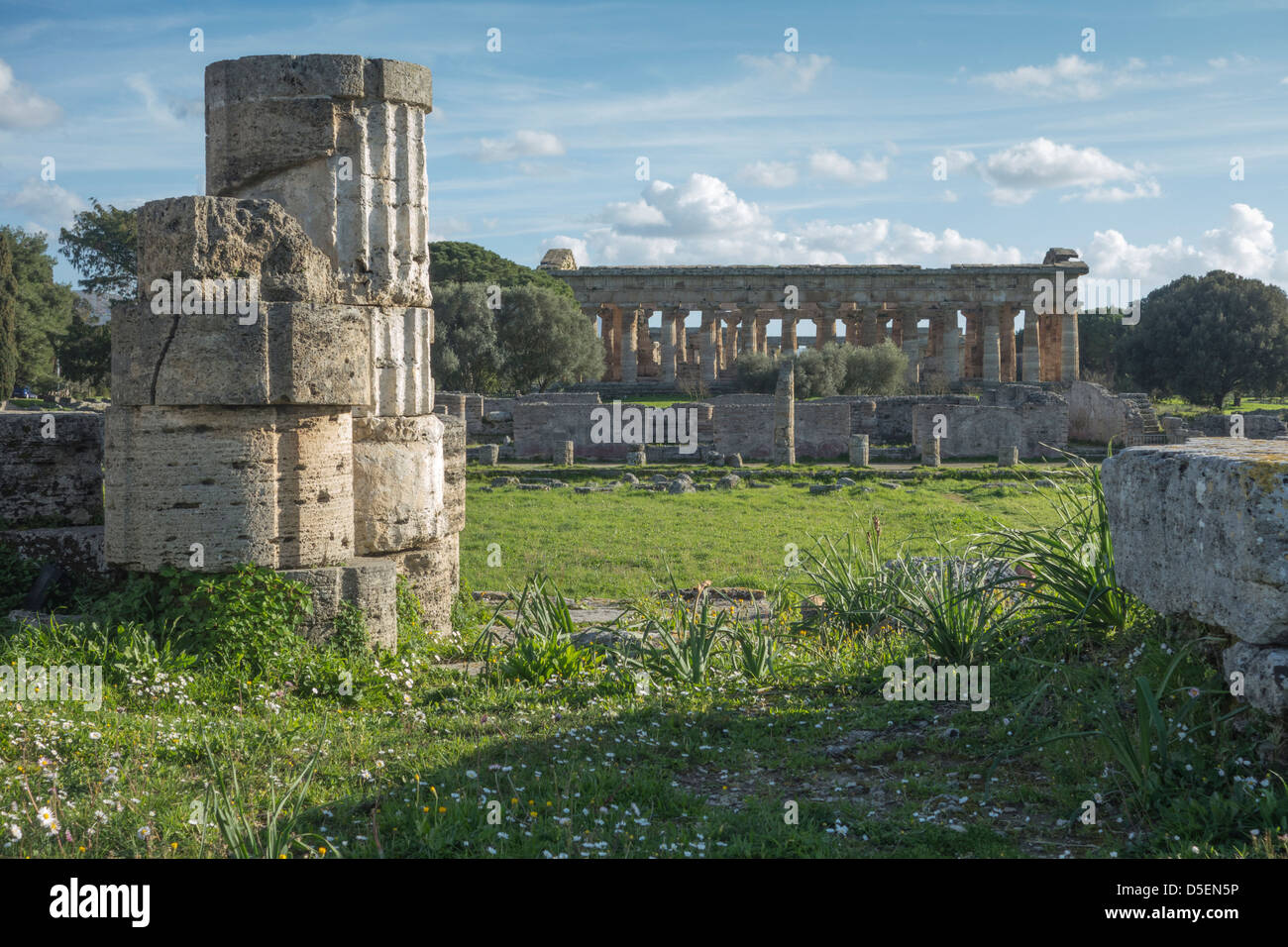 Greco-romane i templi di Paestum, Campania, Italia. Foto Stock