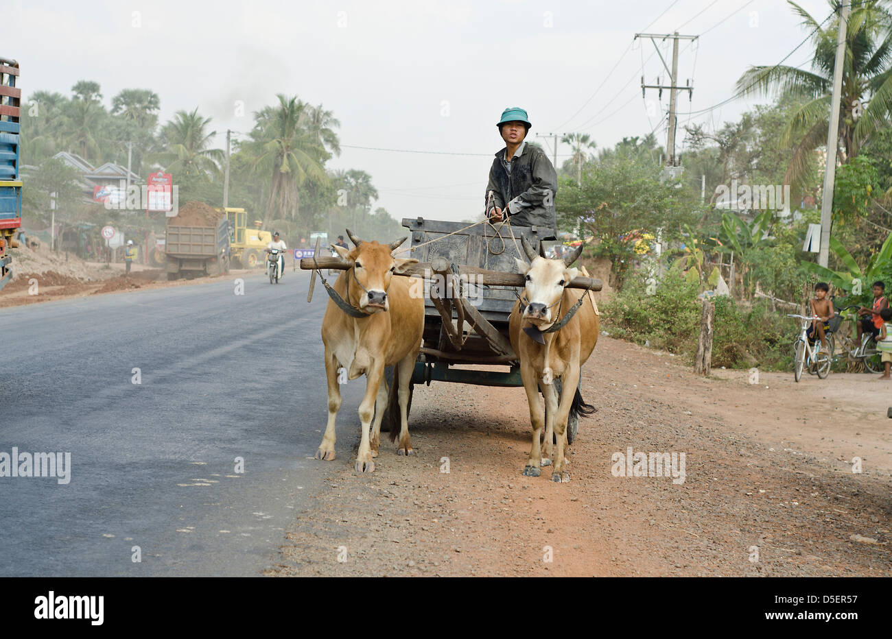 Carrello di giovenco, Il Tonle Sap ,Cambogia Foto Stock