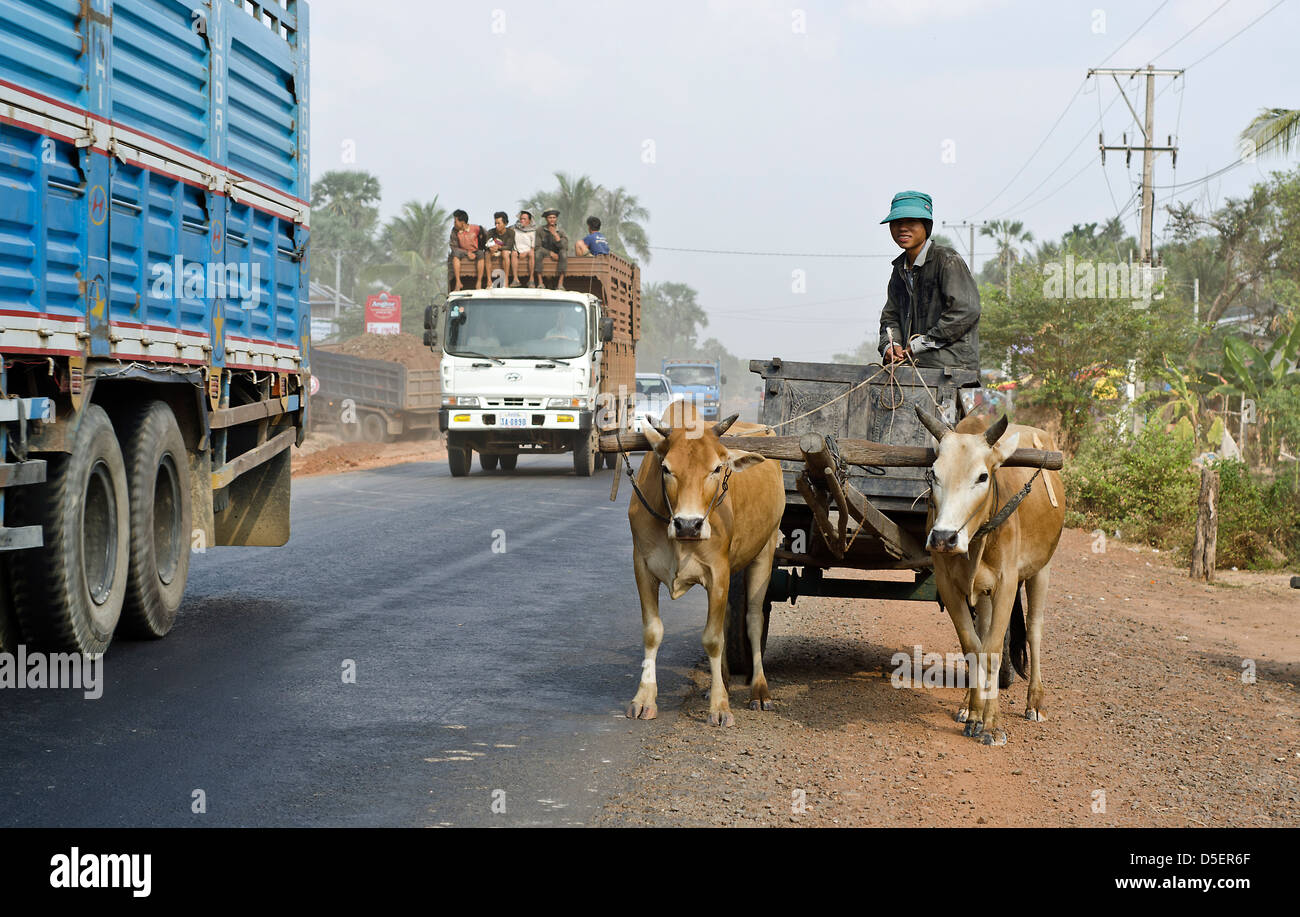 Carrello di giovenco ,Il Tonle Sap ,Cambogia Foto Stock