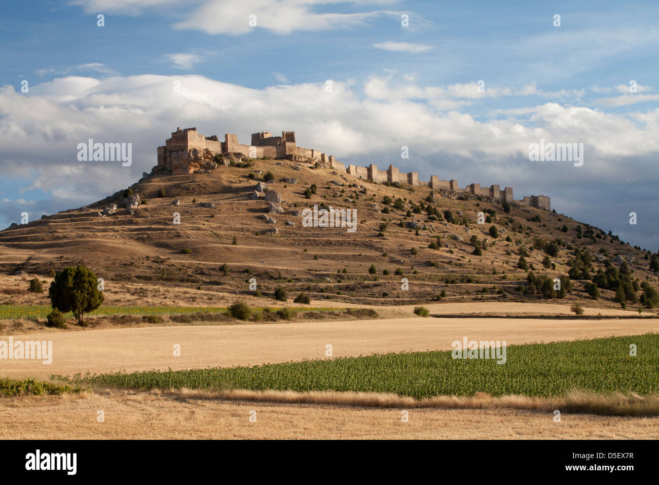 Il castello di Gormaz, Soria, Spagna Foto Stock