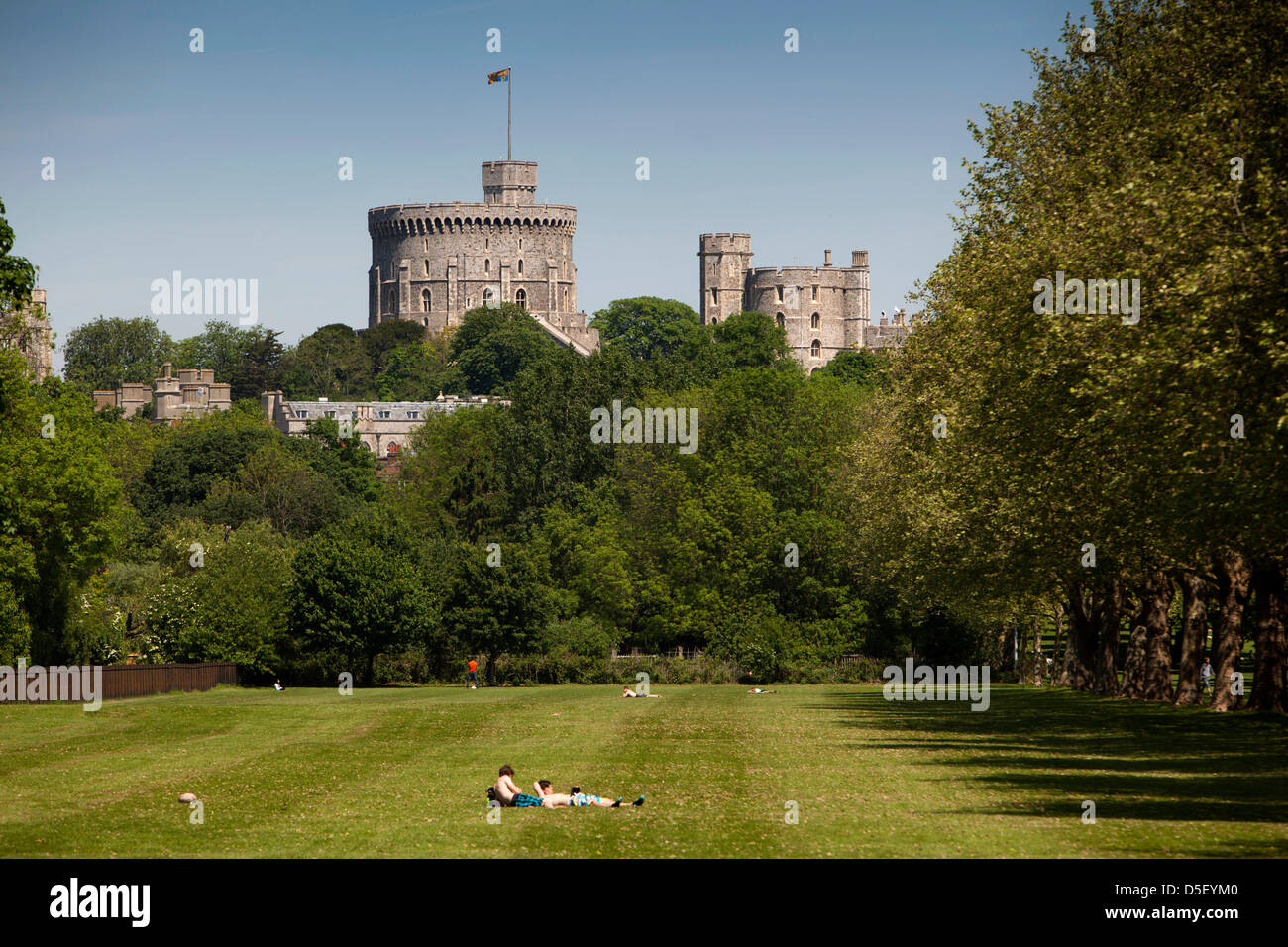 Inghilterra, Berkshire, Windsor, Castello con royal standard battenti dal Windsor Great Park Foto Stock