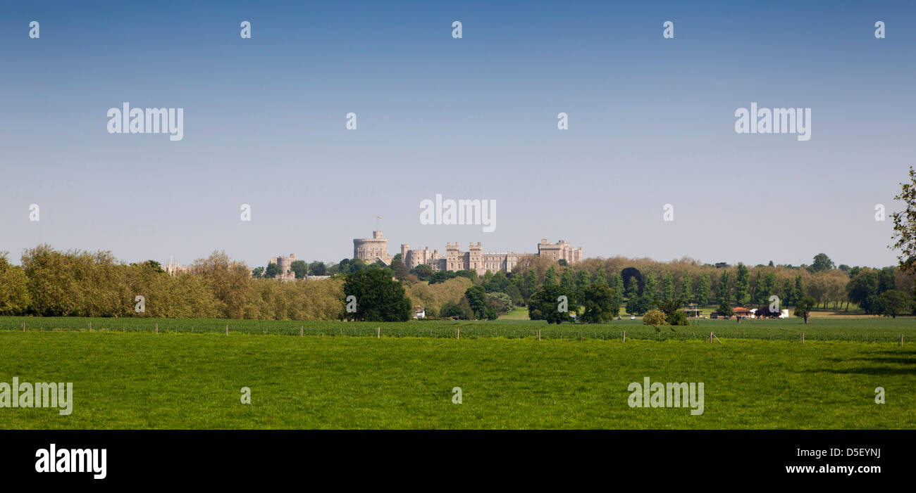 Inghilterra, Berkshire, Windsor, Castello distante vista attraverso la Home Farm Foto Stock
