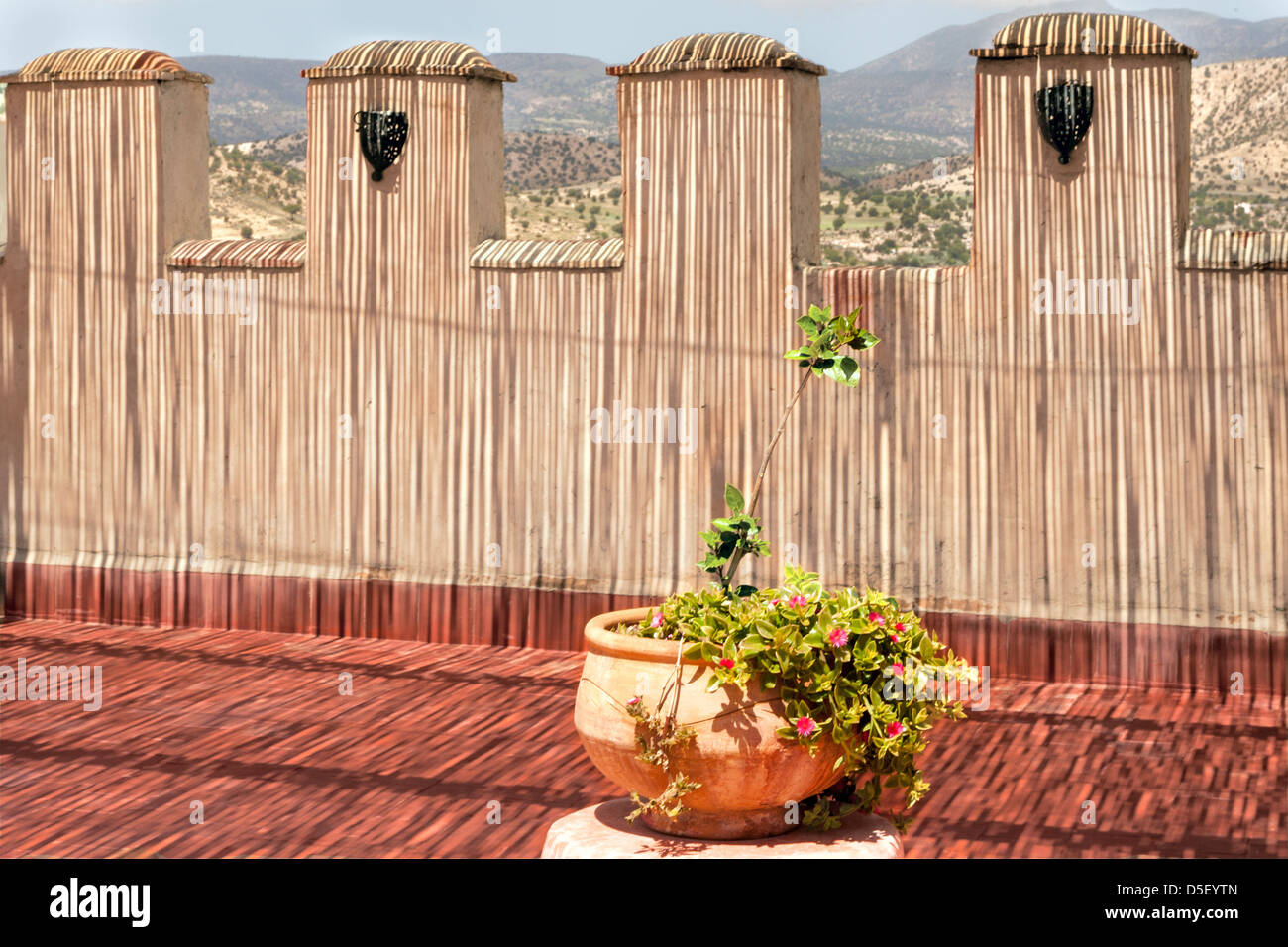 Ombra dal tetto di canna su muro, Atlas Kasbah Ecolodge, Tighanimine El Baz, Drarga, Agadir, Marocco Foto Stock