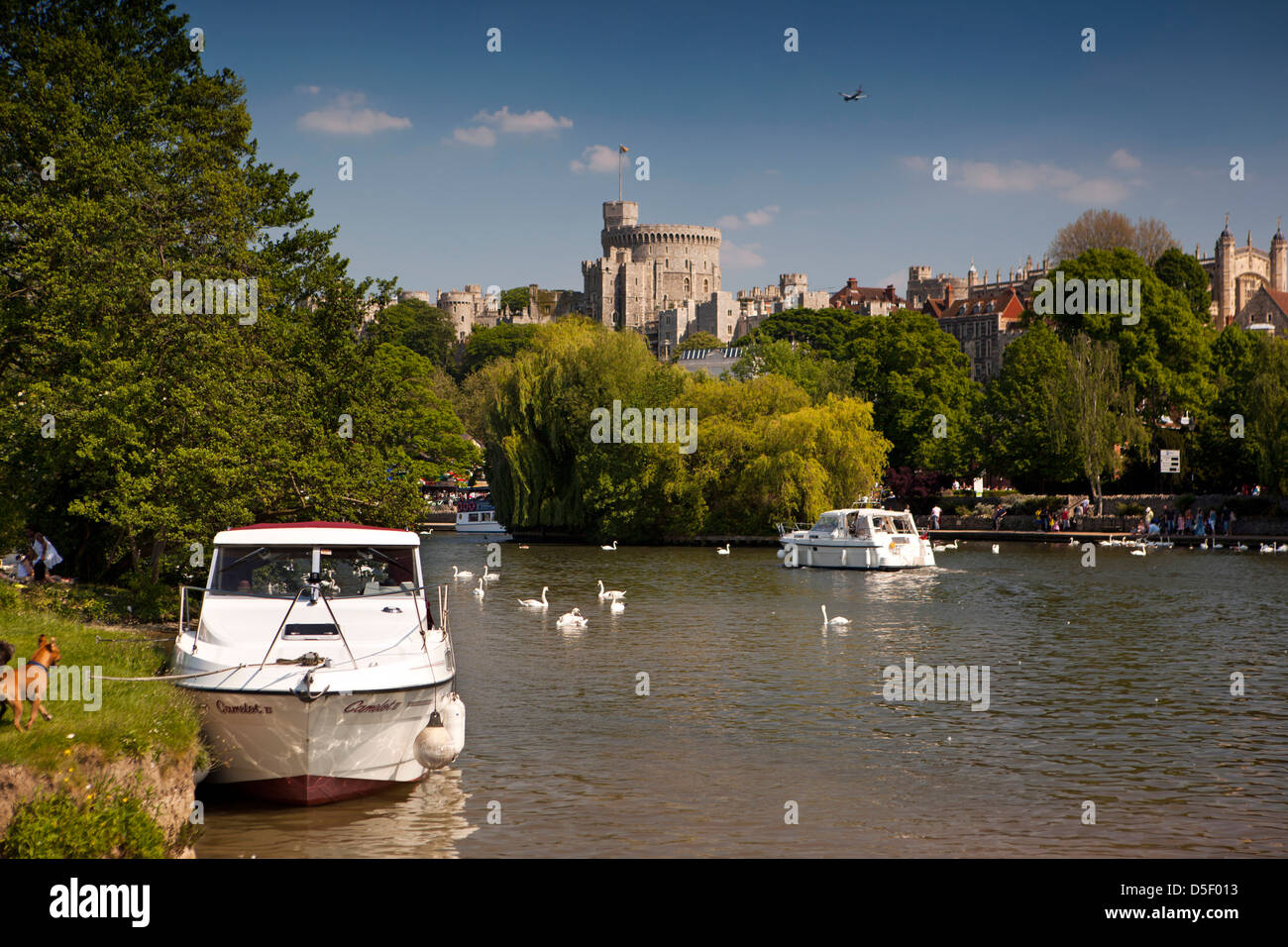 Inghilterra, Berkshire, Windsor, Thames di Fiume Foto Stock