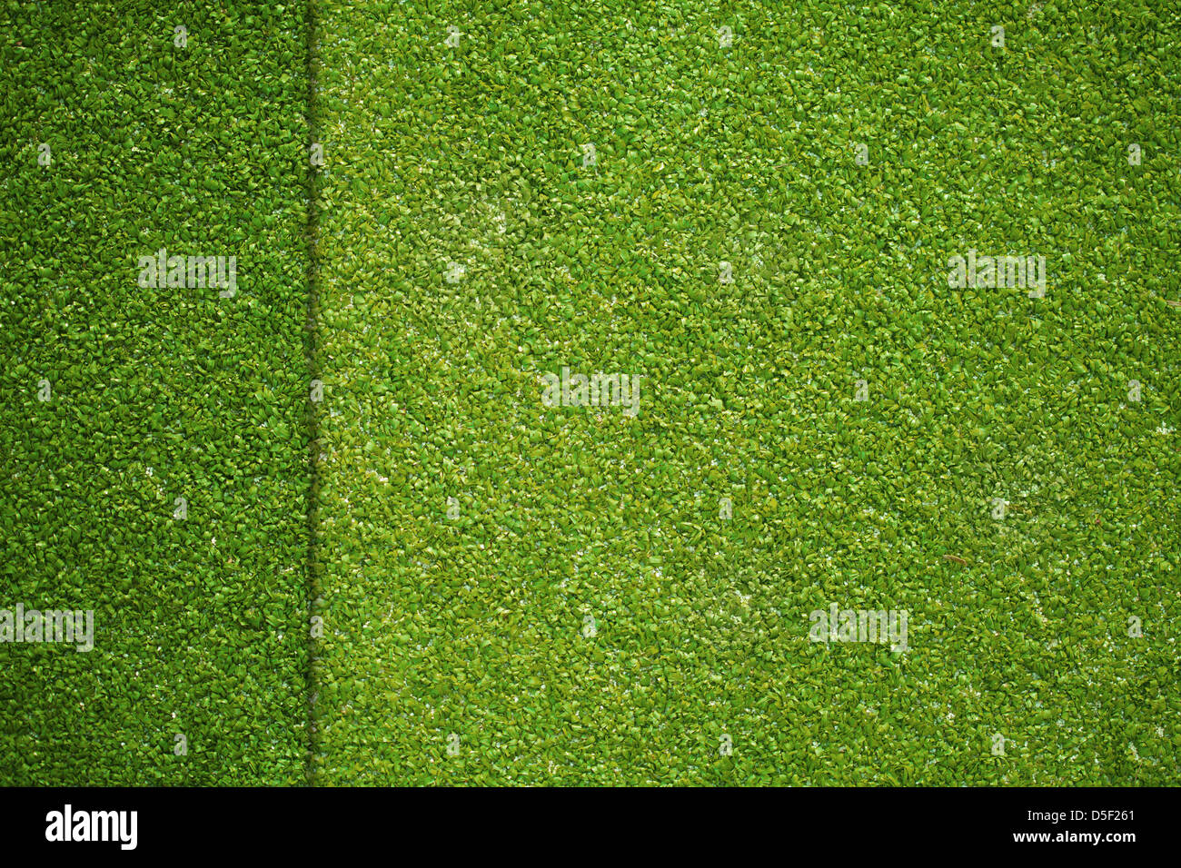 Texture in erba artificiale sul campo da golf vista superiore Foto Stock