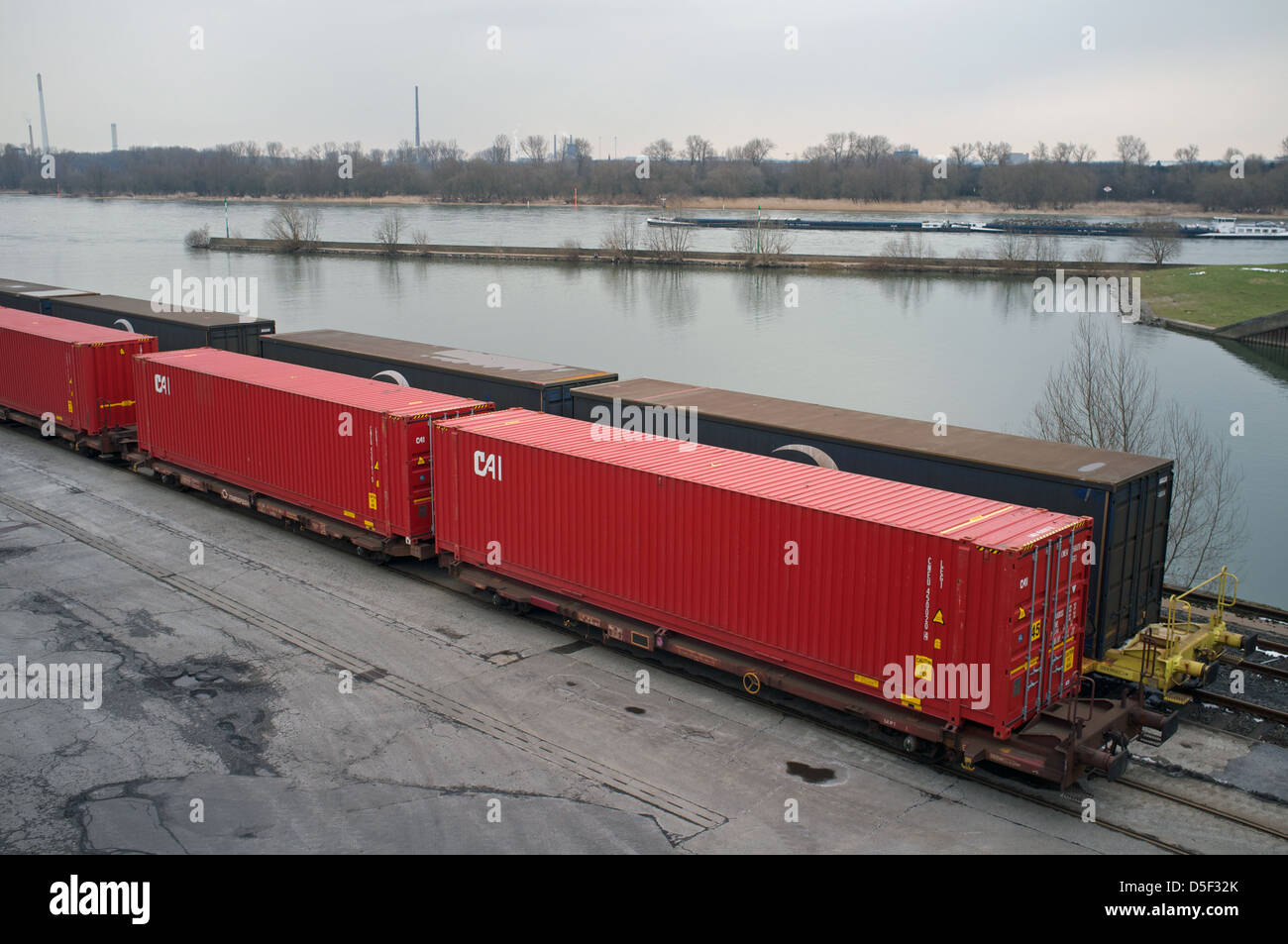 Fungo accanto al fiume Reno Foto Stock