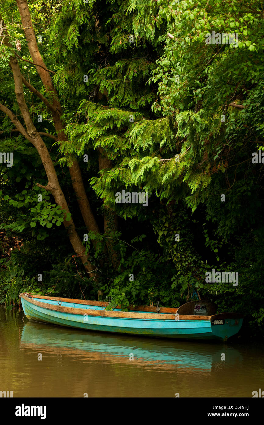 Un blu canotto ormeggiato al di sotto di alberi frondosi sul canale di Oxford, Oxford. Foto Stock